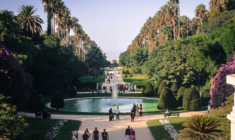 Jardin Botanique du Hamma - Jardin d'essais